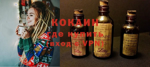 стаф Заводоуковск