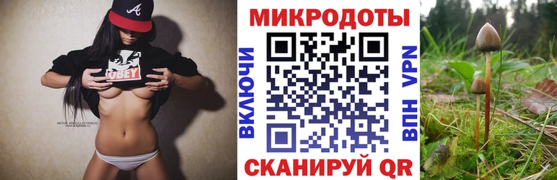 Галлюциногенные грибы Cubensis  Николаевск 